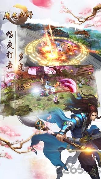屠龙在野官方版(暂未上线),屠龙在野,魔幻手游,pk手游